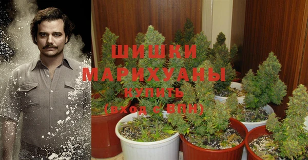 spice Болотное
