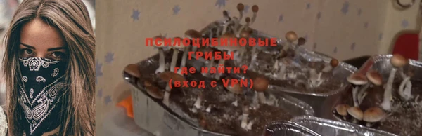 дмт Магас
