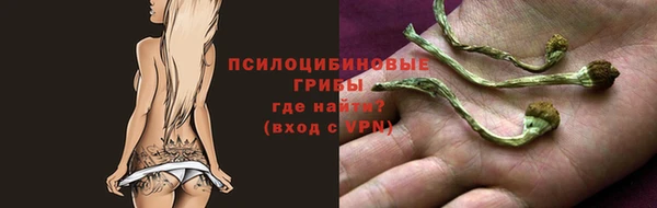 дмт Магас