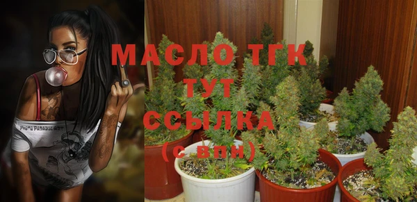 стафф Майский