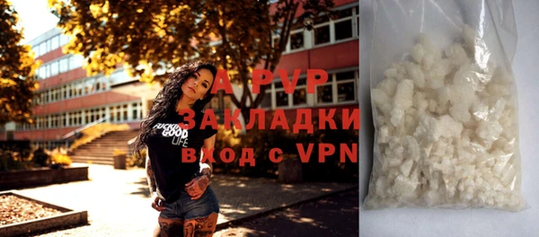 стафф Майский