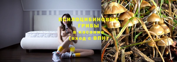 spice Болотное