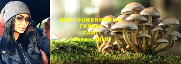 кокс Болхов