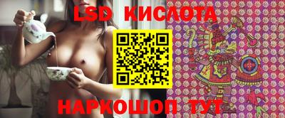 прущие крисы Будённовск